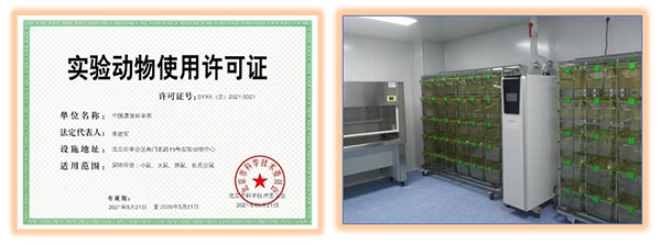 图片10.jpg